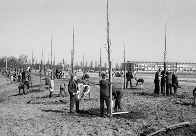 127407 Afbeelding van het planten van bomen door schoolkinderen tijdens de nationale Boomfeestdag op het ...
